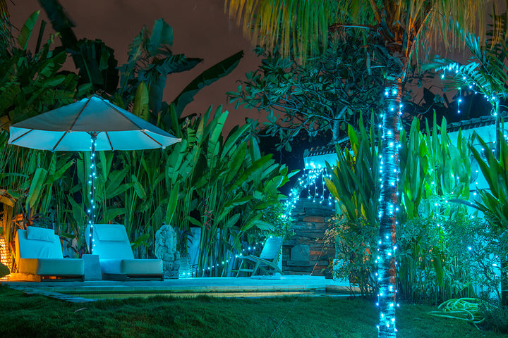 Smart LED Lights for a Magical Outdoor Decoration