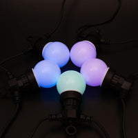 Festoon Lights (12 LED Bulb) Smart RGB Edition